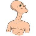 Bald man with a naked torso. Vector drawing. Royalty Free Stock Photo