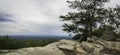 Bald Rock panorama Royalty Free Stock Photo