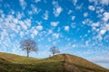 Bald trees at the hill, blue sky with clouds