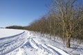 Bald trees and skid marks into a snowscape Royalty Free Stock Photo