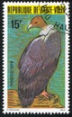 Bald Vulture Royalty Free Stock Photo