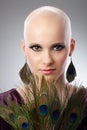 Bald woman with peacock plumes Royalty Free Stock Photo