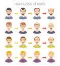 Baldness stages vector set.