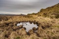 Bleak winter panoramic view of Baldstone, and Gib Torr in the Peak District National Park Royalty Free Stock Photo