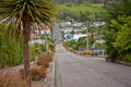 Baldwin street in Dunedin as the worlds steepest street, New Zealand Royalty Free Stock Photo