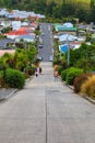 Steepest street in the world, Dunedin, New Zealand Royalty Free Stock Photo