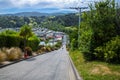 Baldwin street - world`s steepest street, Dundein, New Zealand Royalty Free Stock Photo