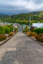 Baldwin street - the world\'s steepest street, in Dunedin, new Zealand Royalty Free Stock Photo