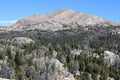 Baldy Mountain Wind River Range Royalty Free Stock Photo