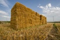 Bale of dried yellow straw on an agricltural fied after harvesting