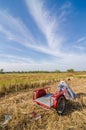 Bale golden straw in the field