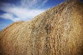 Bale of hay