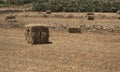 Bale of hay. agriculture farm and farming symbol of harvest time with dried grass straw as a bundled tied haystack Royalty Free Stock Photo