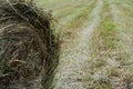 Bale of hay on a beveled empty field close-up with a copy space Royalty Free Stock Photo