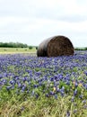 Bale of hay in a bluebonnet field