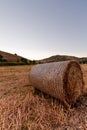 Bale of hay close-up during Golden hour, with hills in the background