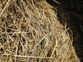 Bale of hay close-up, textured background