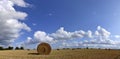 Bale of Hay in Field Panorama Royalty Free Stock Photo