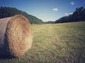 Bale of hay in the grassy field among woods in flat land area under clear blue sky with white clouds Royalty Free Stock Photo