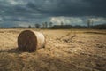 A bale of hay lying on a dry meadow and a cloudy sky Royalty Free Stock Photo