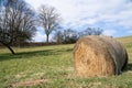 Bale of hay in the meadow with leafless trees and a cloudy sky on a sunny day in spring Royalty Free Stock Photo