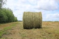 Bale of hay in the park and in the distance windmills turbine in spring.