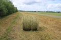 Bale of hay in the park and in the distance windmills turbine in spring. Royalty Free Stock Photo