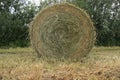 Bale of hay in the park in the village Zuidland in summer. Royalty Free Stock Photo