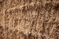 Dry yellow hay Royalty Free Stock Photo