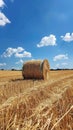 Bale of hay on a sunny day in a harvested wheat field Royalty Free Stock Photo