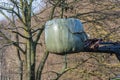 Bale of hay transport with an old farm machine. Royalty Free Stock Photo