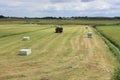 Bale of hay on the wagon in the pasture in the village Zuidland in summer. Royalty Free Stock Photo