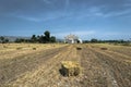 Bale of hay Royalty Free Stock Photo