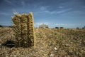 Bale of hay Royalty Free Stock Photo