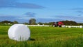 Bale of hay wrapped in plastic foil, Norway Royalty Free Stock Photo