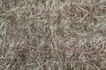 Bale of Meadow Hay. Royalty Free Stock Photo