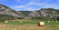 Bale straw and bue sky Royalty Free Stock Photo