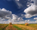 Hay bale farm field in the summer. Hay bale on the meadow after harvest, near Pannonhalma, Hungary