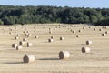 Bale of straw after harvest at the field Royalty Free Stock Photo