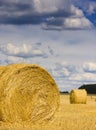 Bale of straw in the meadow Royalty Free Stock Photo