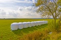 Bale of straw packed in white plastic foil to protect against ba Royalty Free Stock Photo