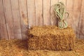 Bale of straw with rope and wood wall Royalty Free Stock Photo