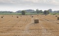 Baled hay in a Rolling Farm Field