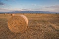 Baled Hay Rolls at Sunset Royalty Free Stock Photo