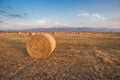 Baled Hay Rolls at Sunset Royalty Free Stock Photo