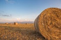 Baled Hay Rolls at Sunset Royalty Free Stock Photo