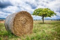 Baled hay under a clouded sky