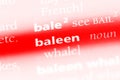 baleen