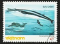 Baleen Whale on Vietnam Postage Stamp