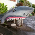 Balekambang 27 September 2023 Gray and white shark statue with white teeth, red gums, visible eyes and nose in Balekambang